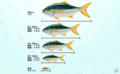 シオリの写メ