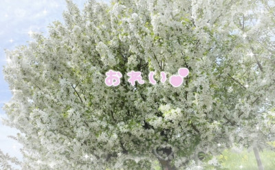 あみの写メ