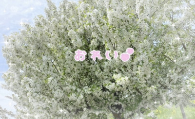あみの写メ