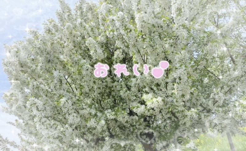 あみの写メ