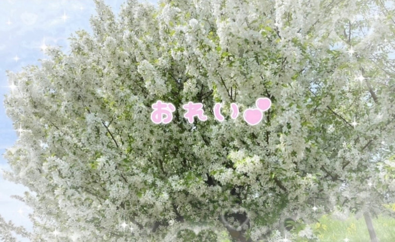 あみの写メ