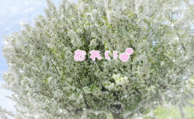 あみの写メ
